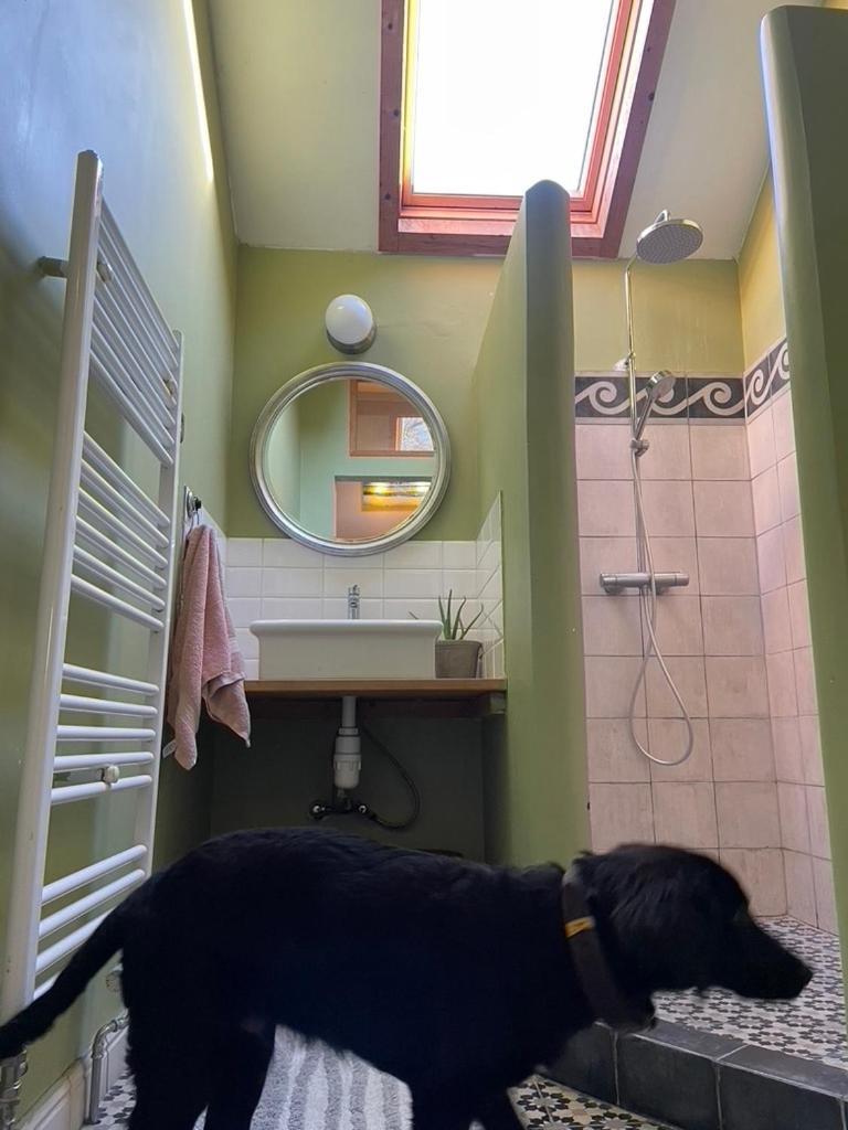 Affittacamere La Bruyere Du Coq Stables Sart-Dames-Avelines Esterno foto